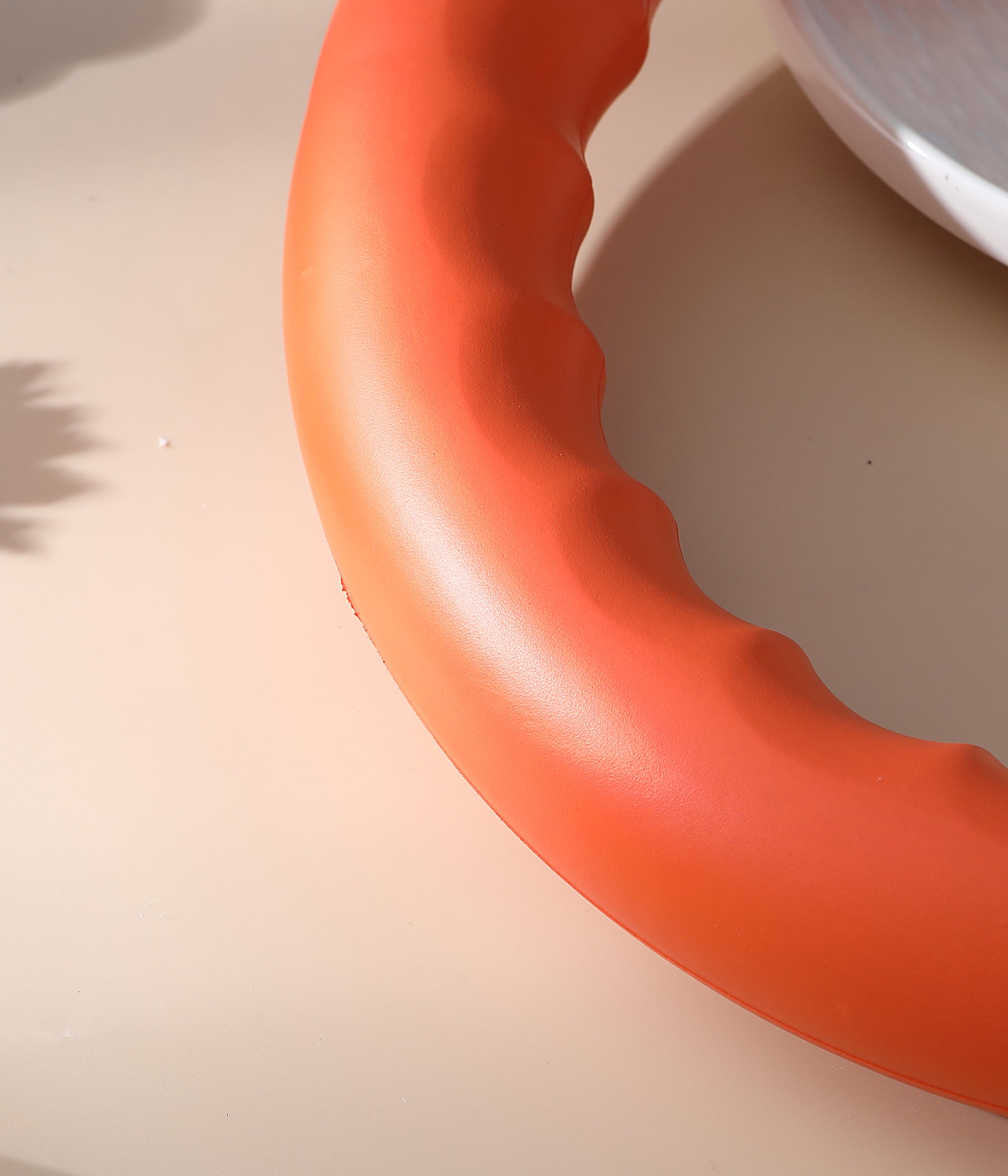 Anello per il Fitness del Cane