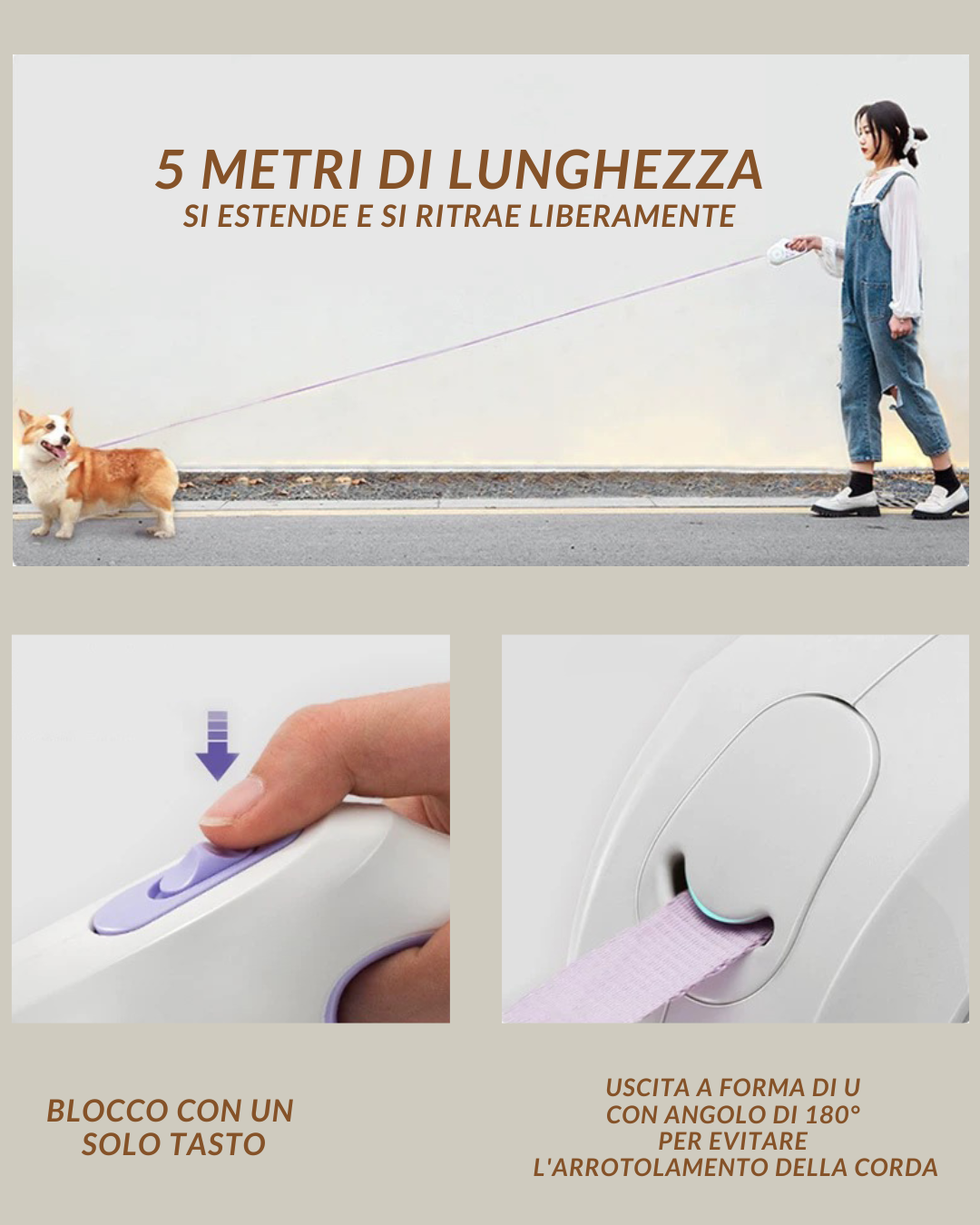 Guinzaglio con Luce RGB/LED