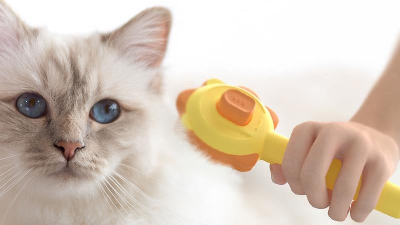 Spazzola Pettine per la rimozione dei peli di gatto e cane