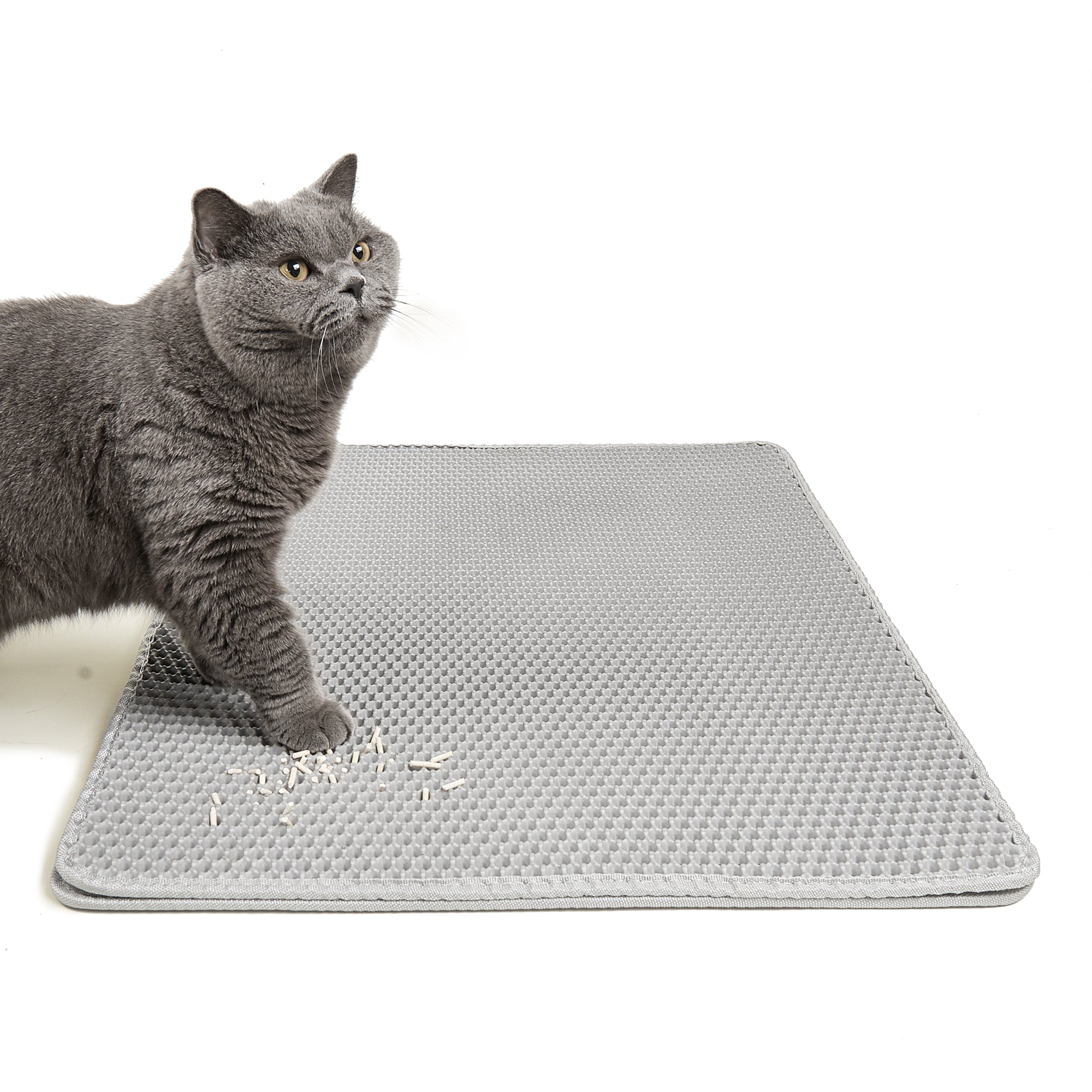 Tappetino Lettiera Gatto