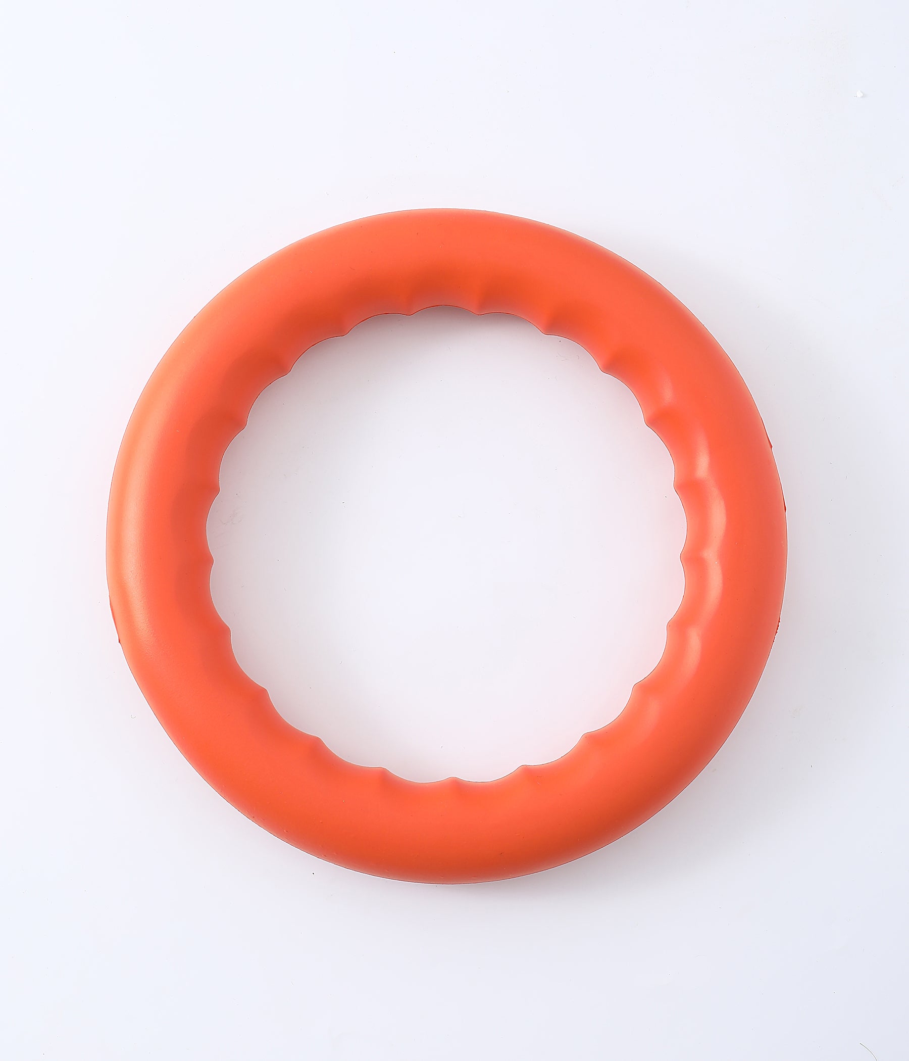 Anello per il Fitness del Cane