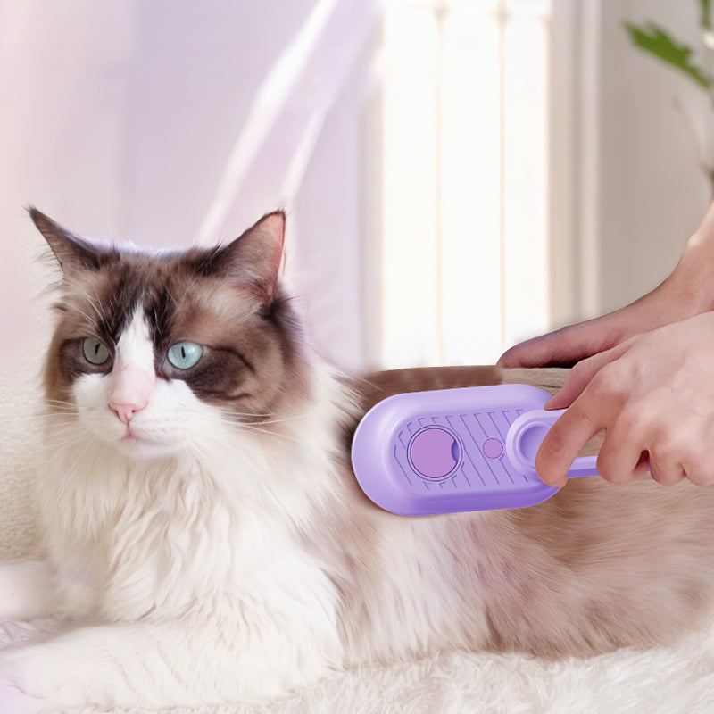 Spazzola a Vapore Pettine Massaggiante Per Gatti e Cani