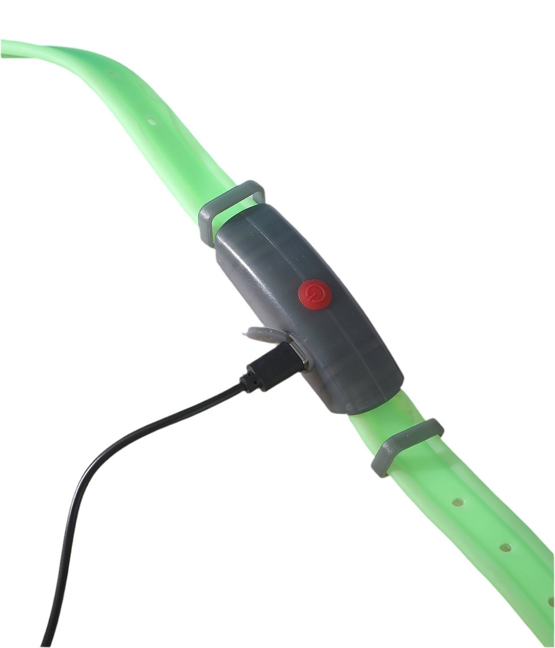 Collare Luminoso per Cani