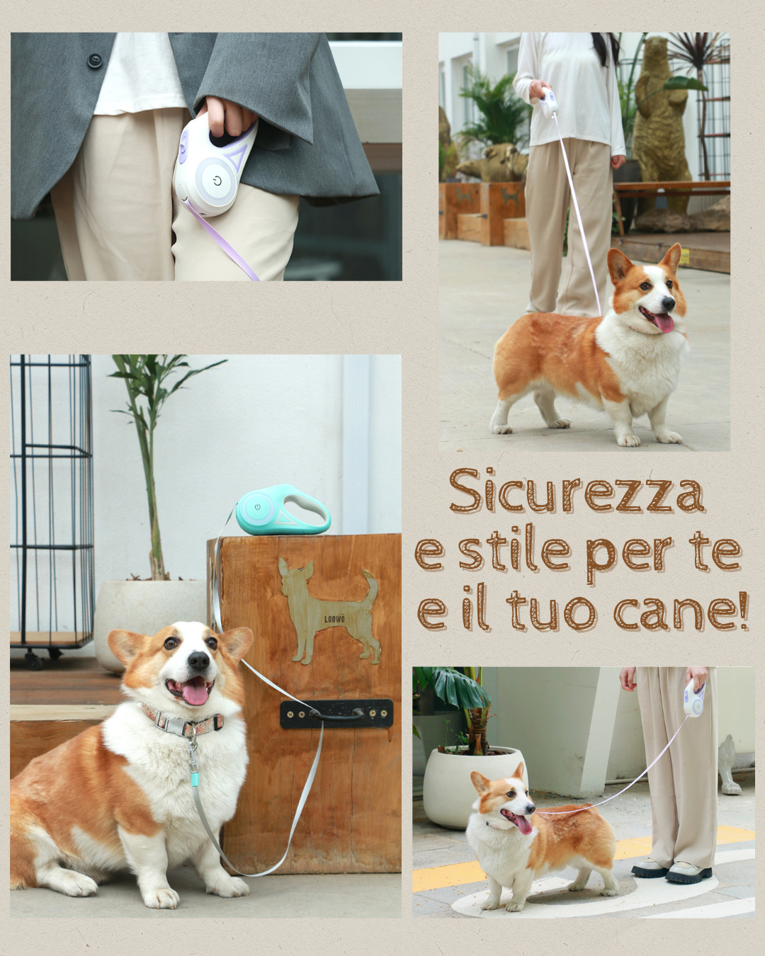 Guinzaglio con Luce RGB/LED