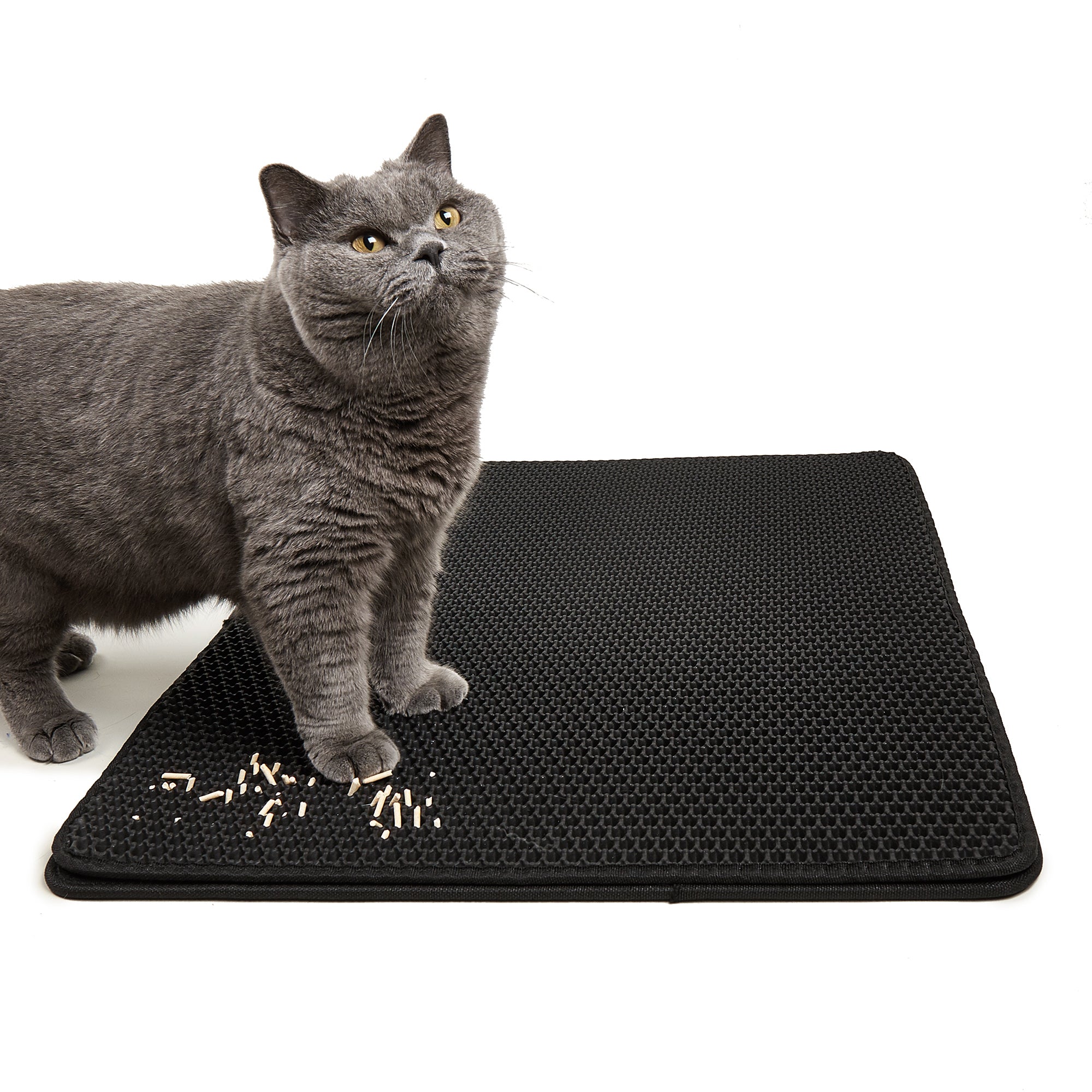 Tappetino Lettiera Gatto