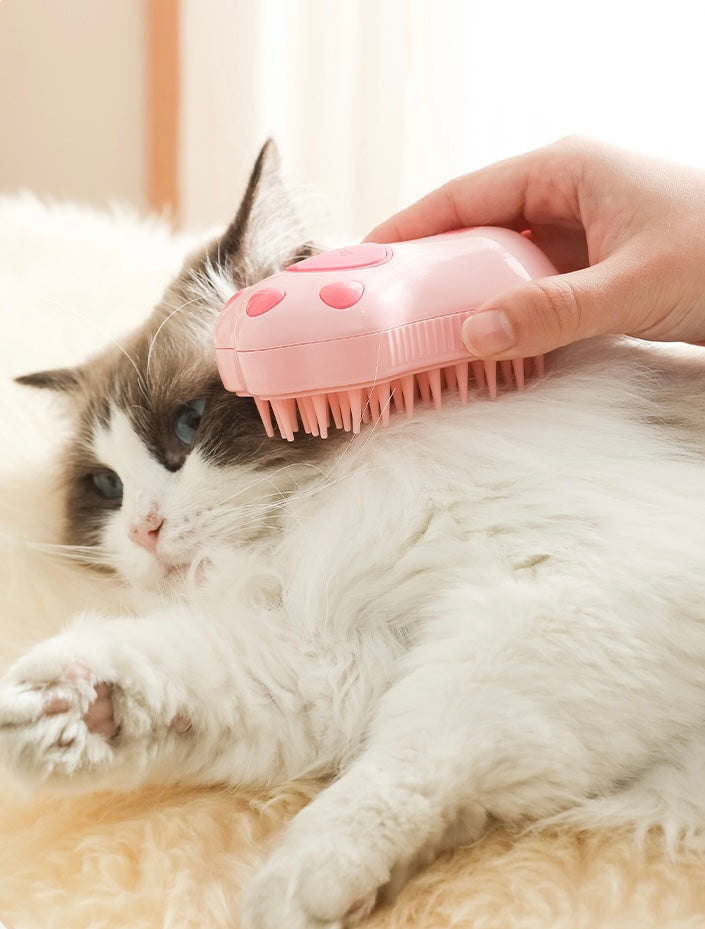 Pettine a Vapore Spray