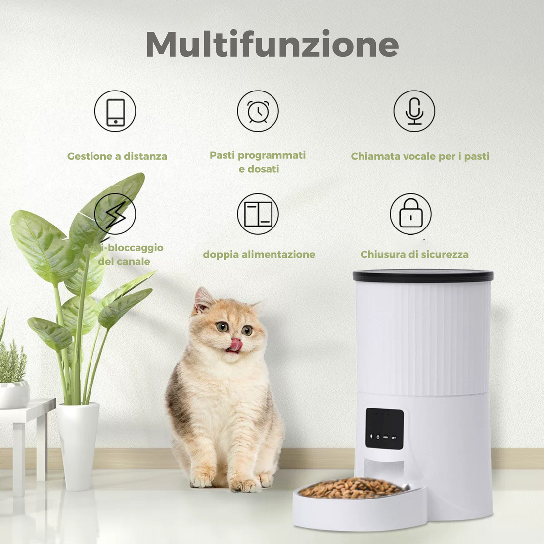 Set Distribuitore Automatico di Cibo (2 Ciotole)